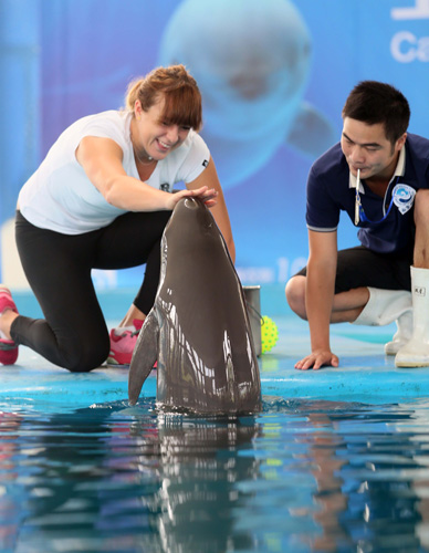 这位中国乒 这位中国乒